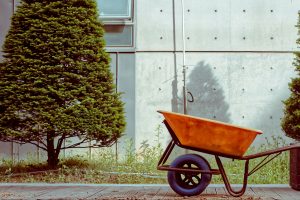 Sprzęt rolniczy dla małych gospodarstw – jak dobrać odpowiednie narzędzia?
