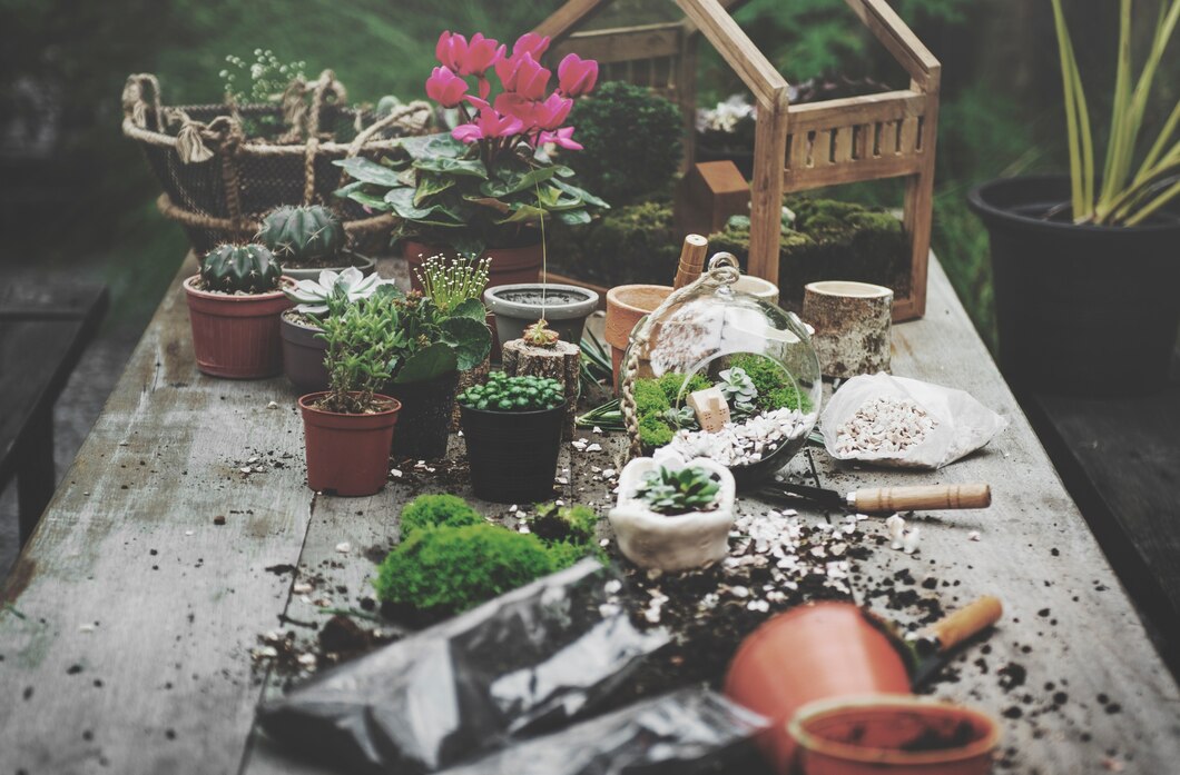 Jak stworzyć doskonały ogród dopasowany do twoich marzeń i potrzeb – praktyczne porady i inspiracje