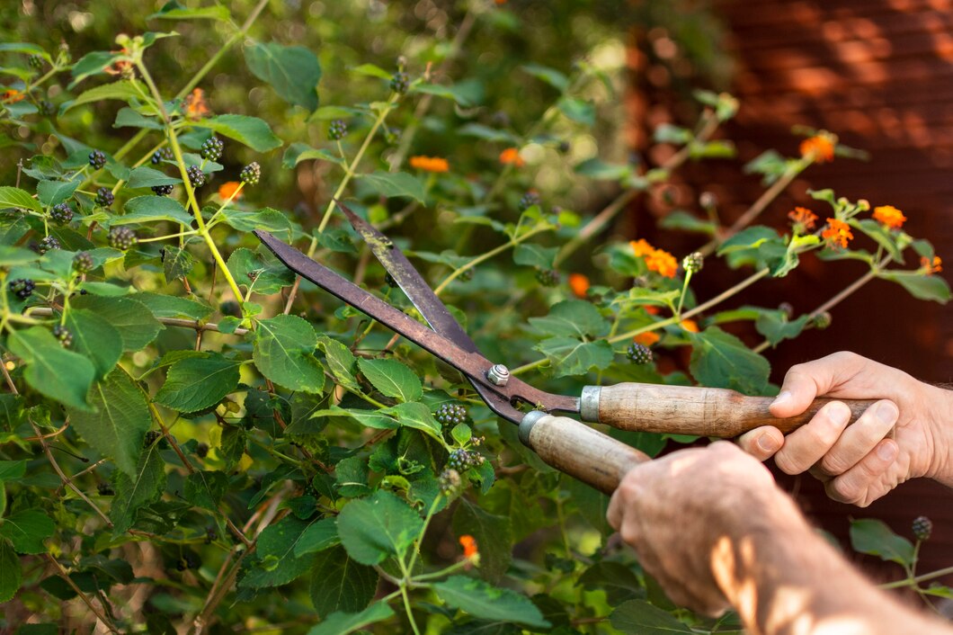 Profesjonalna pielęgnacja i bezpieczne usuwanie drzew – klucz do zdrowego ogrodu