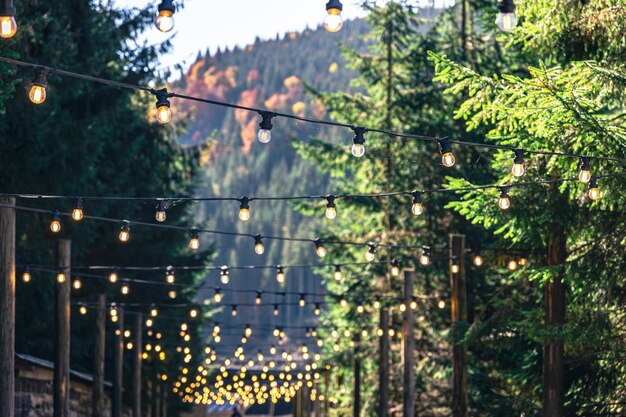 Świetlne inspiracje dla twojego ogrodu: Jak zbudować magiczną atmosferę