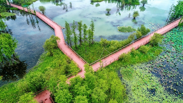 Korzyści z zastosowania gruntowych pomp ciepła w domach jednorodzinnych